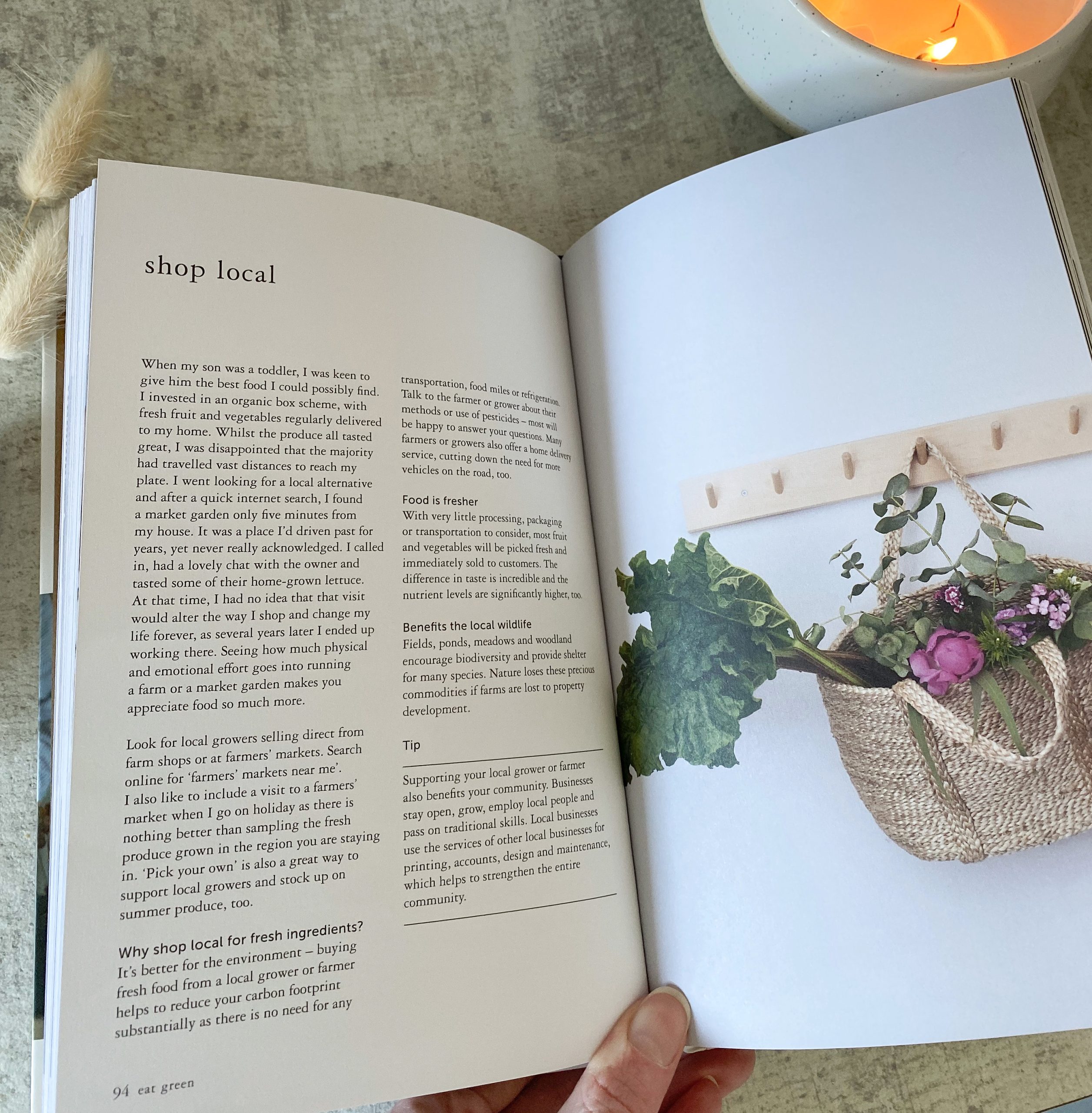 ‘Green Living’ hard back book