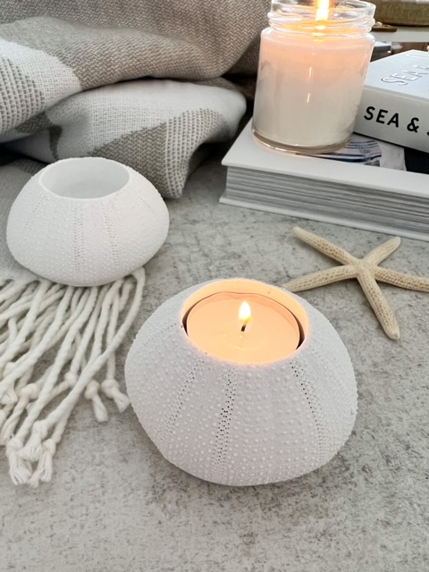 Beautiful decorative sea urchin tealight holder