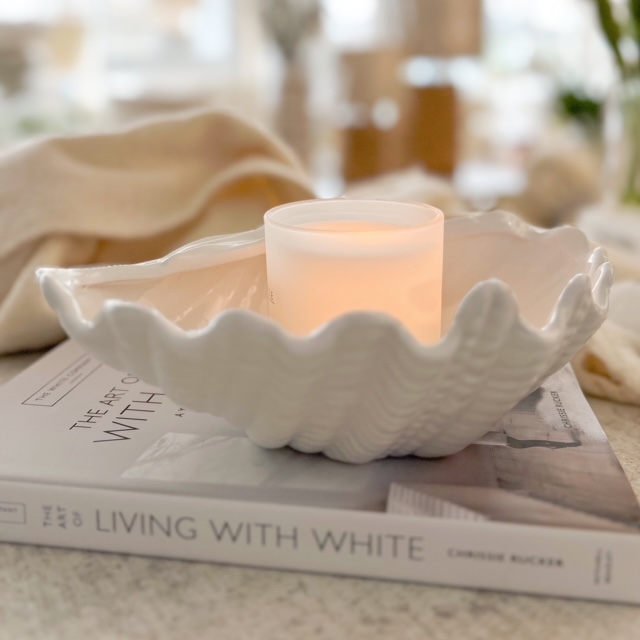 Beautiful ceramic clam shell