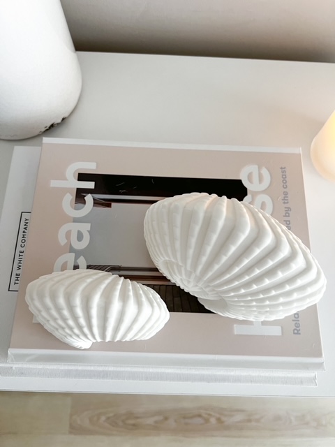 Large light up ceramic decorative ammonite shell