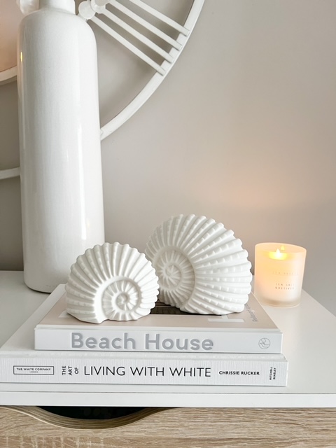 Small light up ceramic decorative ammonite shell