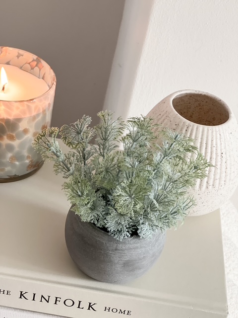 Faux dwarf ambulia in pot