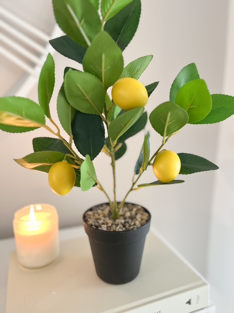 Faux potted lemon tree