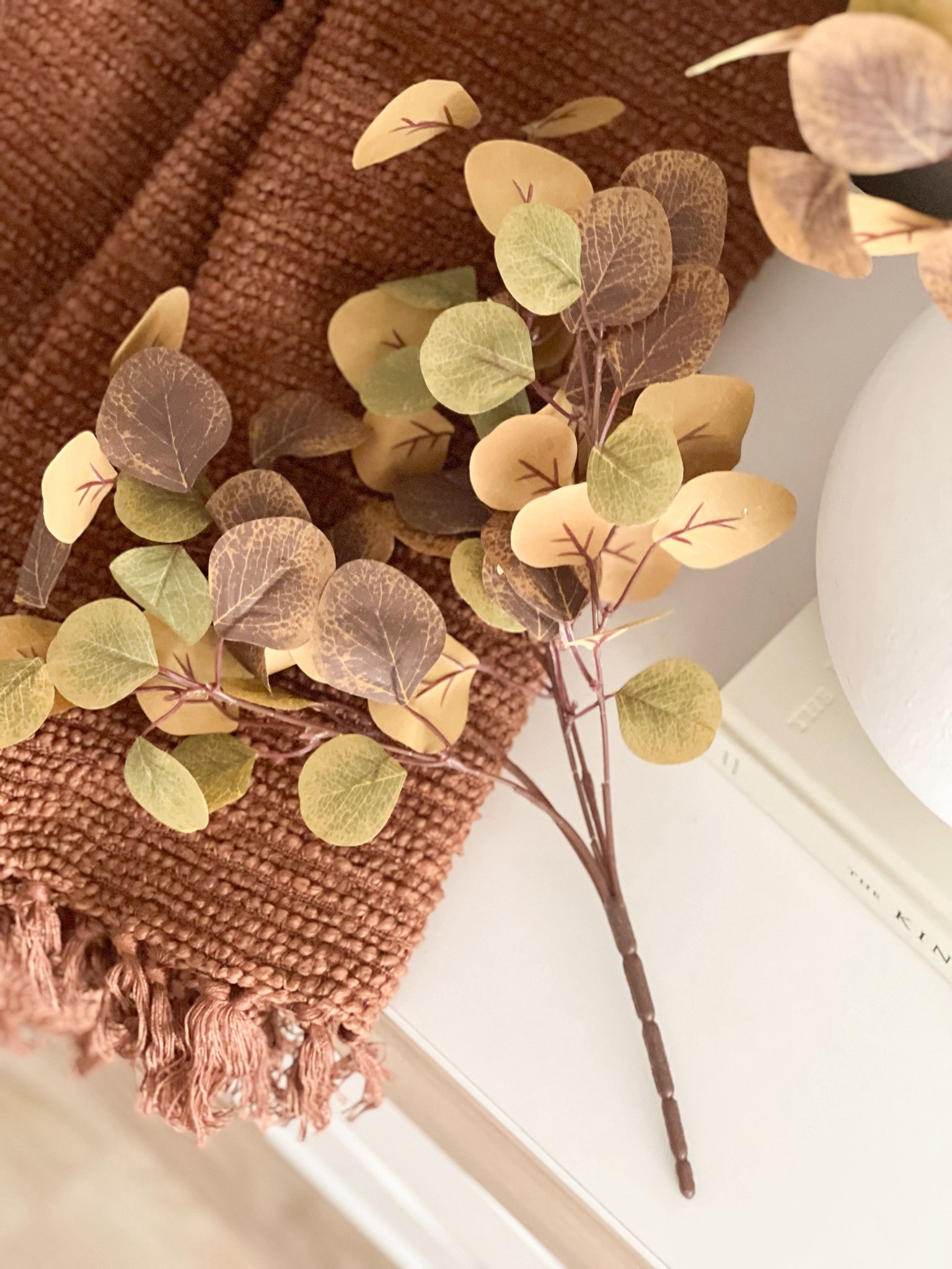 Eucalyptus Autumn leaf spray