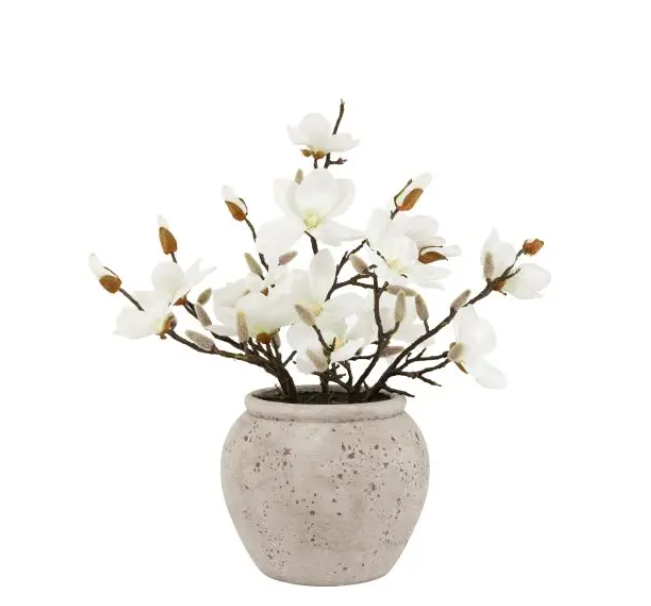 Magnolia Vase Arrangement