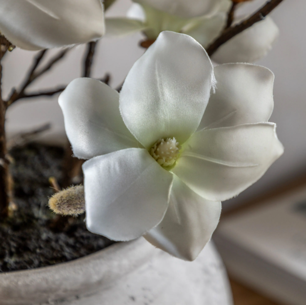 Magnolia Vase Arrangement