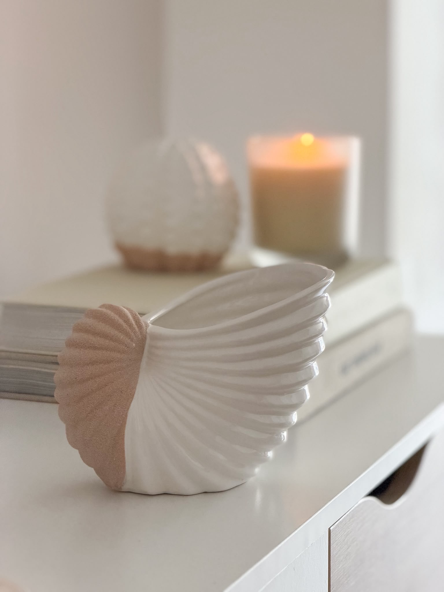 Ceramic two tone decorative shell